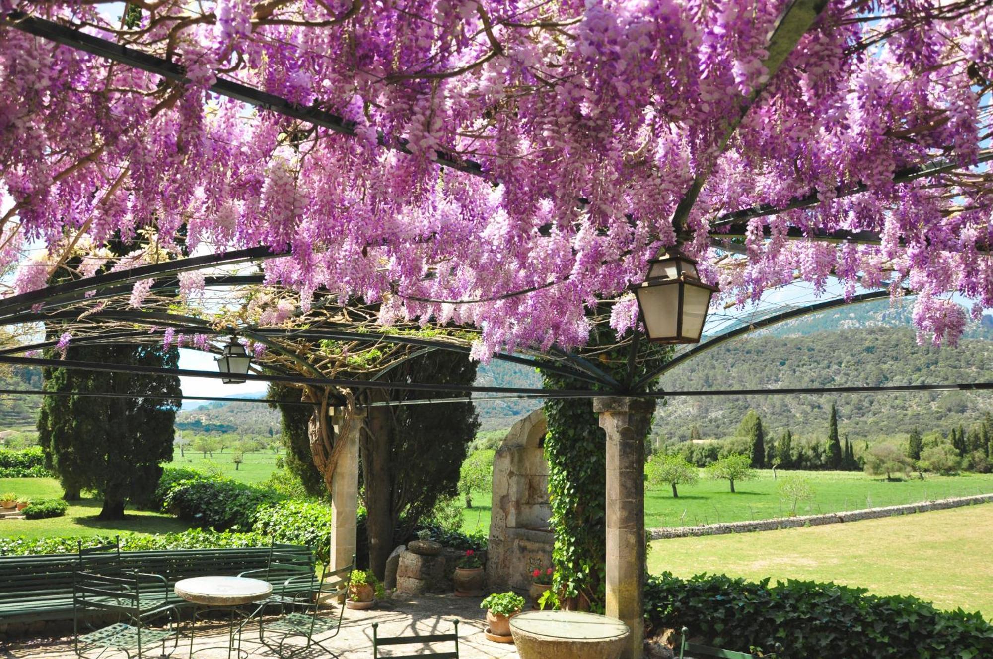 Fangar Agroturismo 坎姆帕内特 外观 照片